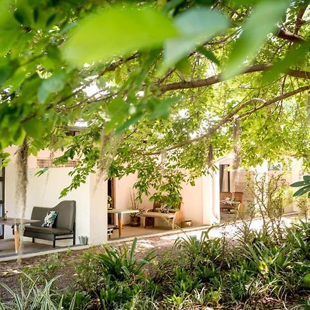Francines Venue Pty Ltd Bed and Breakfast Hoedspruit Exteriör bild