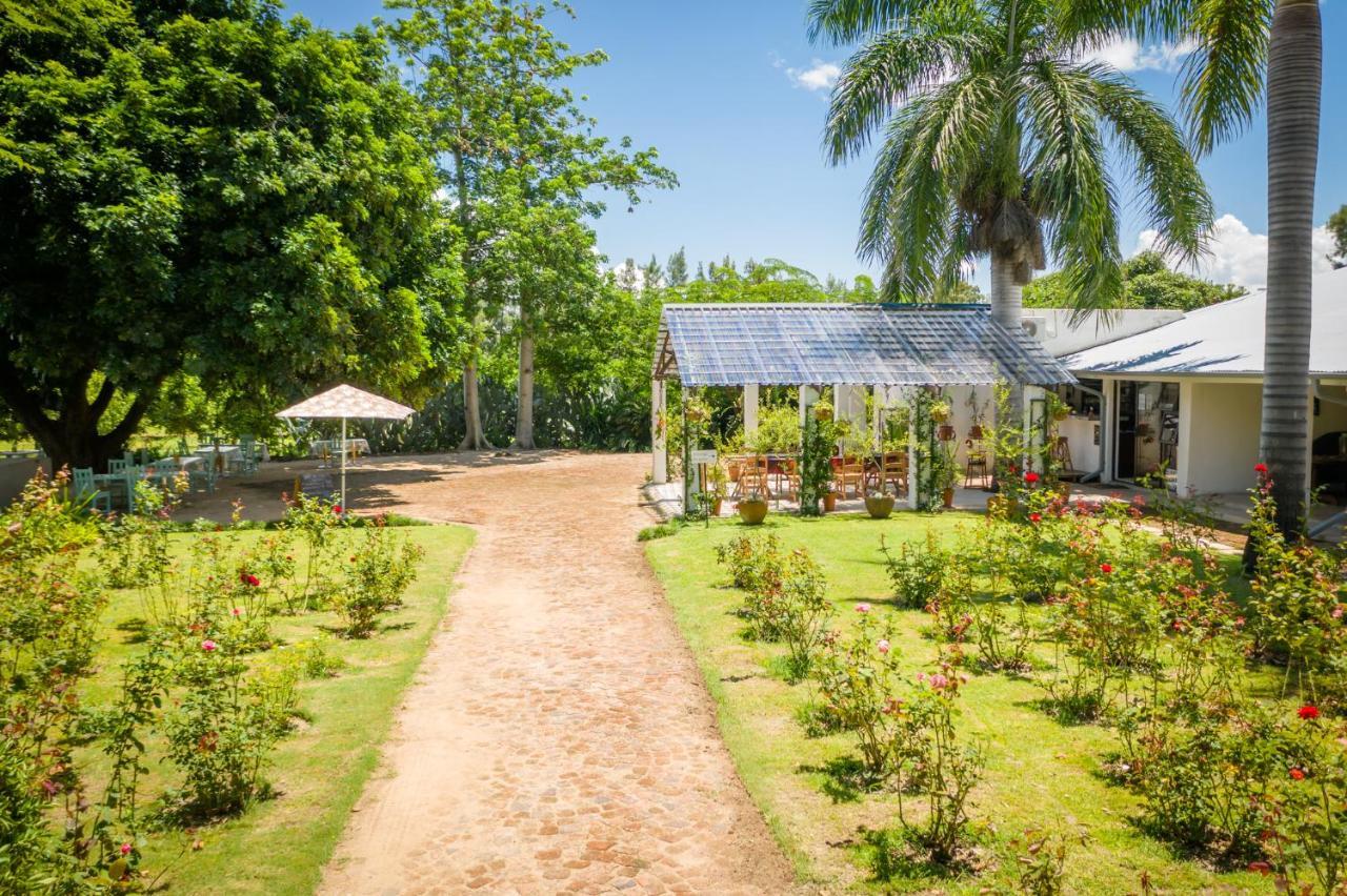 Francines Venue Pty Ltd Bed and Breakfast Hoedspruit Exteriör bild