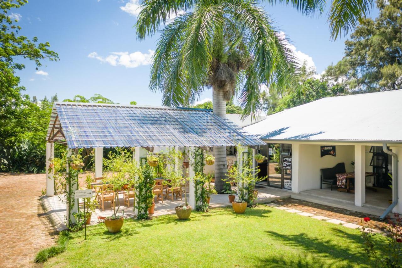 Francines Venue Pty Ltd Bed and Breakfast Hoedspruit Exteriör bild