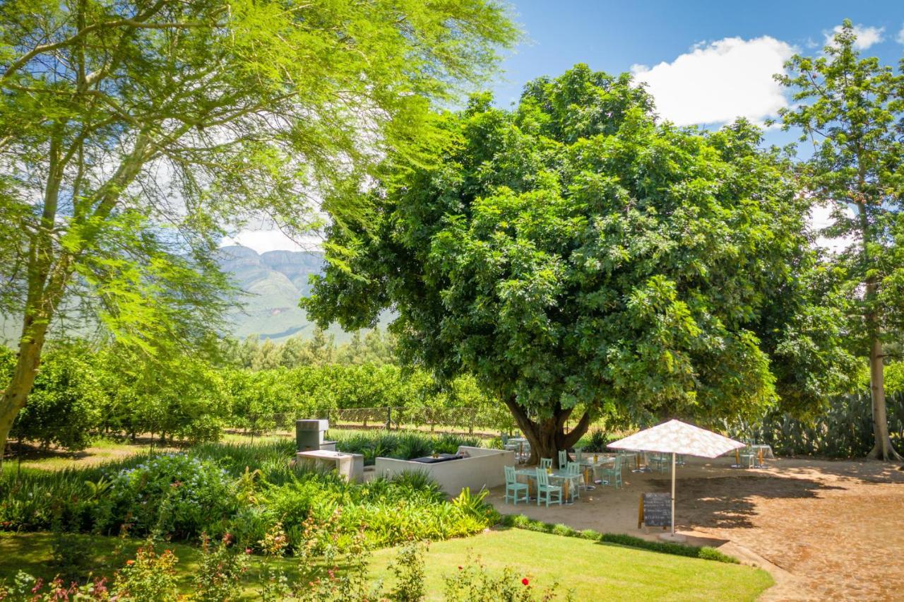 Francines Venue Pty Ltd Bed and Breakfast Hoedspruit Exteriör bild